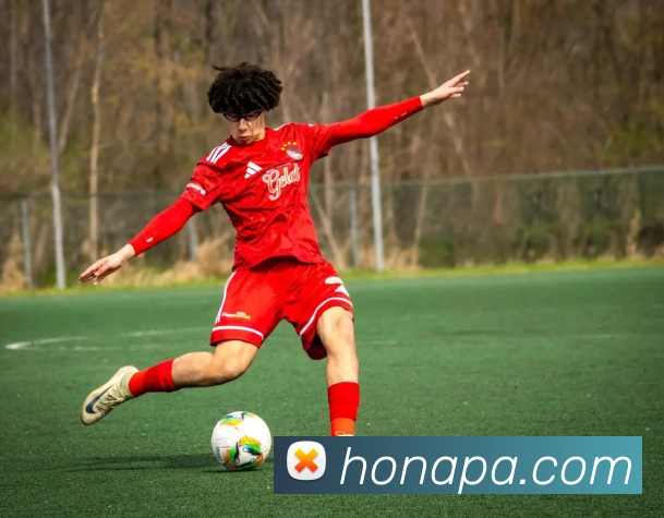 pa真人视讯服务体系